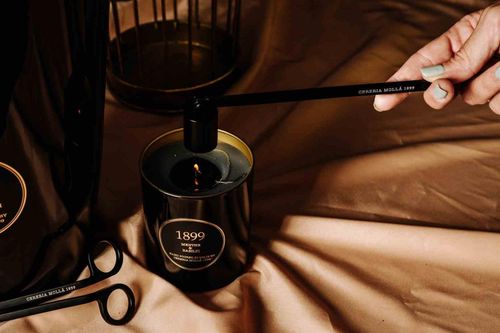 Dyfuzor Premium Reed 500ml Menthe and Basil na Arena.pl