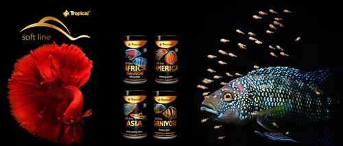 Soft Line America S miękki, tonący pokarm dla ryb w formie pałeczek 100ml na Arena.pl