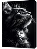 Obraz 50x70cm Portret Zwierząt do Salonu | Kot | Czarno Białe