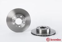 TARCZA HAM PRZOD 300X24 V BREMBO