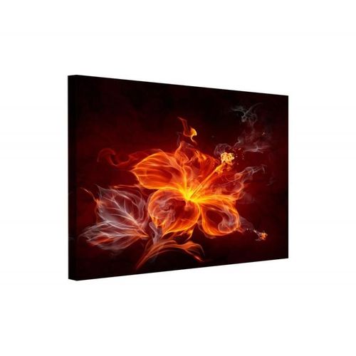 Obraz na płótnie - Canvas, Płomienny kwiat 40x30 na Arena.pl