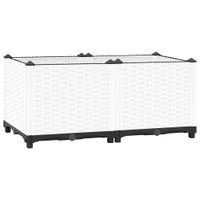 Donica do podwyższonej rabaty, 80x40x38 cm, polipropylen