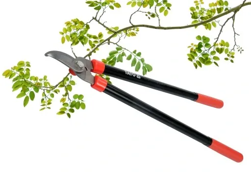 SEKATOR DO KONARÓW 625 MM YATO zdjęcie 1