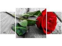 product-compare-58644111