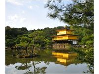 60X50CM ZŁOTY DOMEK MITH HUANG OBRAZ ŚCIAN DREWNIANE