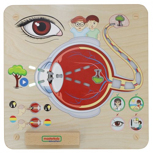 MASTERKIDZ Tablica Edukacyjna Zmysł Wzroku na Arena.pl