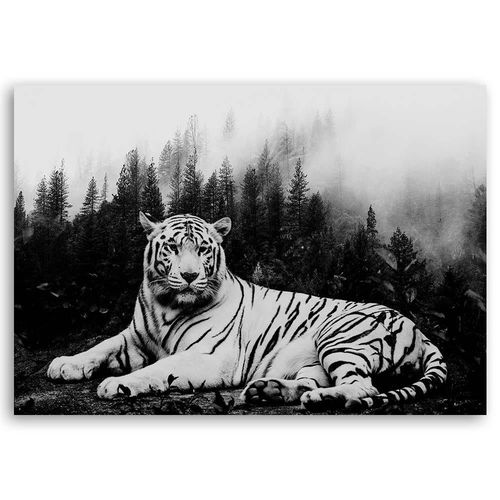Obraz na płótnie – Canvas, Tygrys syberyjski 2 60x40 na Arena.pl