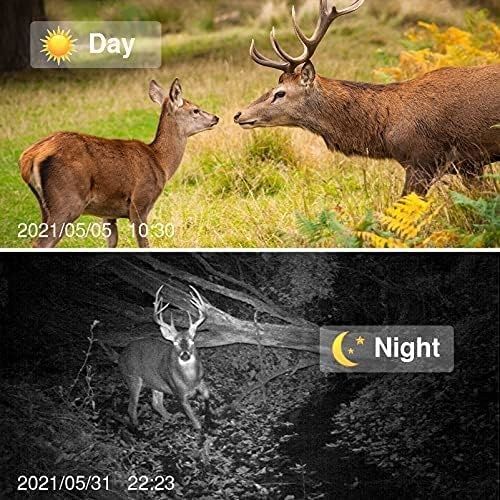 kamera myśliwska 1080P 20MP z czujnikiem ruchu podczerwieni Night Vision zdjęcie 5