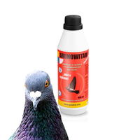 Aminowitam 500ml witaminy i aminokwasy