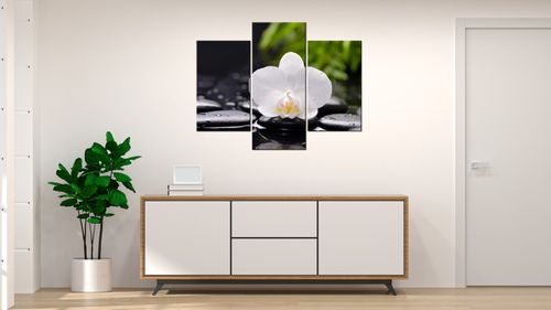 Obraz Tryptyk 90X70 Biała Orchidea Biały Storczyk na Arena.pl