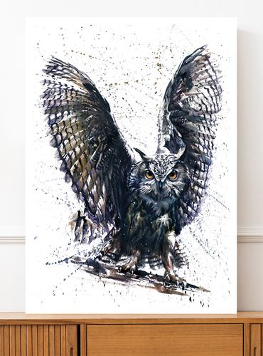 Plakat sowa abstrakcja akwarela 61x91 cm na Arena.pl