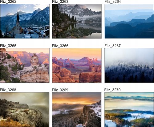 Fototapeta Drzewa Las Liście Paproci 380x256 na Arena.pl