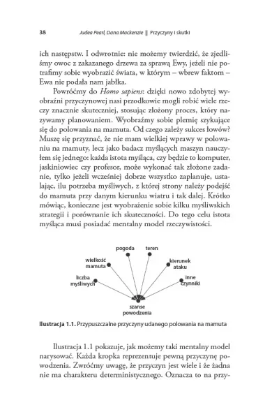 Przyczyny i skutki zdjęcie 7