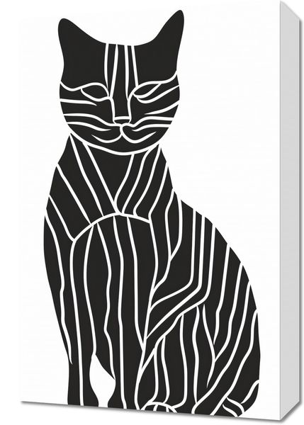 Obraz 40x60cm Zebra w Kocim Ciele zdjęcie 1