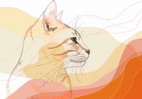 Plakat 66,5x46,5cm Delikatny Profil Kota