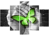 OBRAZ GREEN BUTTERFLY MOTYL DŁOŃ CEGŁA