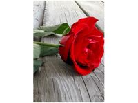 100 70CM OBRAZ PŁÓTNO RÓŻA DESKACH PŁÓTNO RAMA