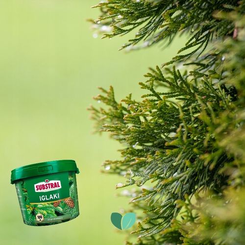 NAWÓZ DO IGLAKA 100DNI 5KG SUBSTRAL na Arena.pl