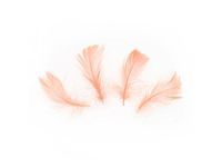 Konfetti "piórka" krótkie, brzoskwiniowe, 50 szt.