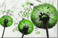 60CM 40CM OBRAZ ŚCIENNY LIMONKOWE DMUCHAWCE DRUK PŁÓTNO RAMA