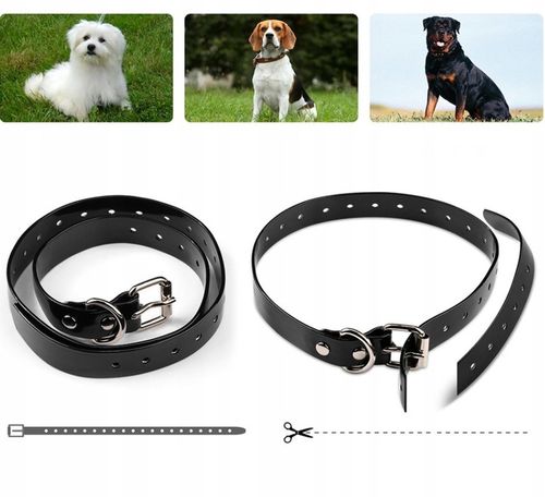 ELEKTRYCZNA OBROŻA DLA PSA 800M TRENINGOWA + PILOT na Arena.pl