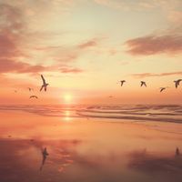 Plakat 80x80cm Spokojna Przystań