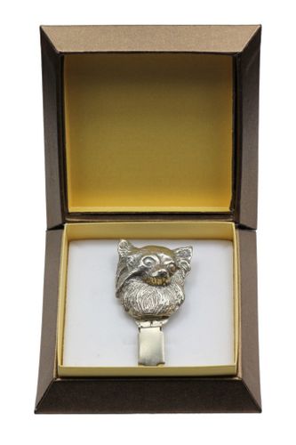 Chihuahua - klips - 2573 na Arena.pl