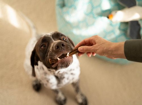 Dentystyczny przysmak dla psa do mycia zębów - Josera Indyk i Jabłko 180g na Arena.pl