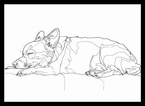 Plakat 35x25cm Śpiący Psiak na Arena.pl