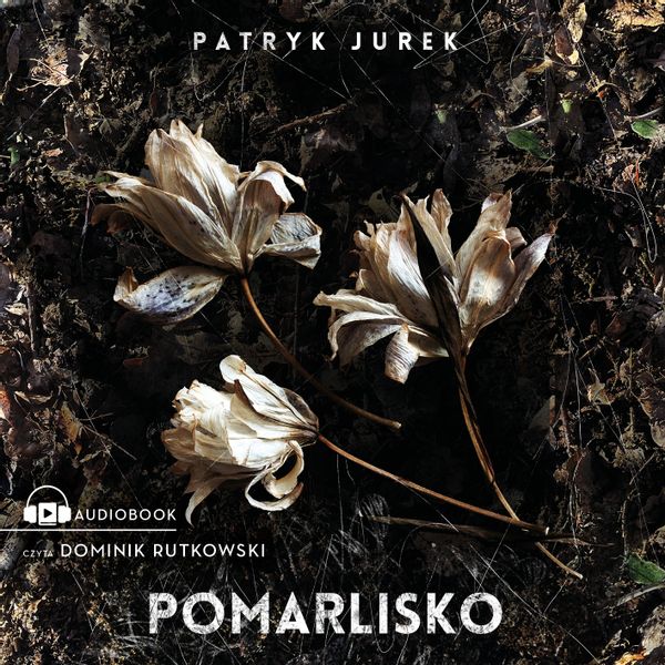 (mp3) Pomarlisko zdjęcie 1