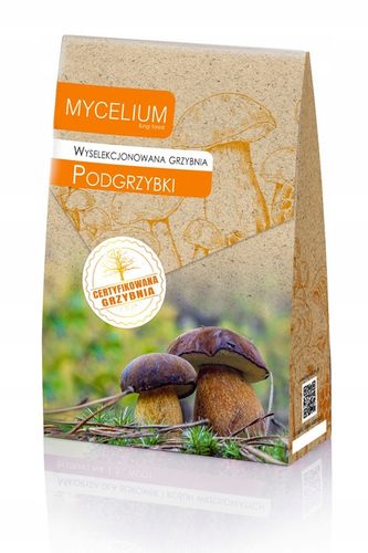 PODGRZYBKI wyselekcjonowana grzybnia 120ml na Arena.pl