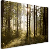 product-compare-53442520