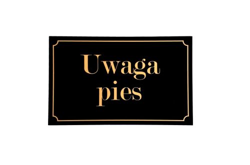 uwaga pies tabliczka na Arena.pl