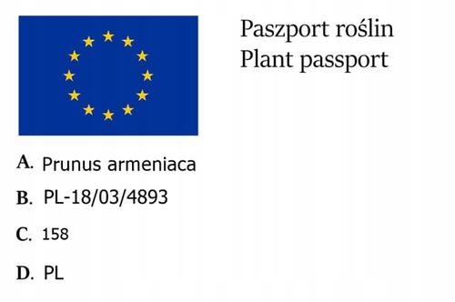 Nektarynka HARCO plenna MROZOODPORNA na Arena.pl
