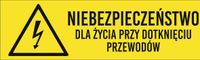 Tabliczka Niebezpieczeństwo dla życia grawer piktogram 20x6 cm dużo wzorów