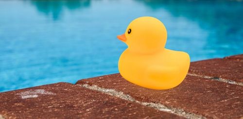 KACZKI Kaczuszki komplet 12 sztuk ŚMIESZNY ZABAWNY PREZENT PISZCZAŁKA na Arena.pl