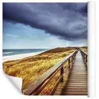 Fototapeta Plaża Piasek ROŚLINY Wydmy do Salonu 368cm x 254cm