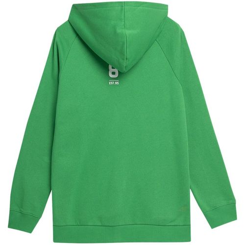 Bluza 4F M 4FSS23TSWSM236 41S L na Arena.pl
