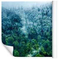 Fototapeta Las we Mgle NATURA Krajobraz do Salonu 400x280