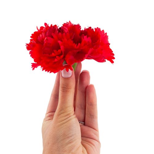 Goździk Wyrobowy Główka Sztuczne Kwiaty Jak Żywe Do Stroików Czerwony na Arena.pl