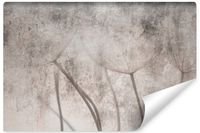 Fototapeta Do Salonu Nasiona DMUCHAWCA Abstrakcja Beton 180cm x 120cm