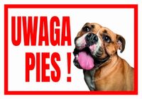 UWAGA PIES ! BULDOG - Tabliczka ostrzegawcza