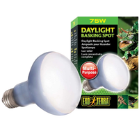 EXO TERRA Daylight Basking Spot 75W Żarówka grzewcza dzienna UVA terrarium