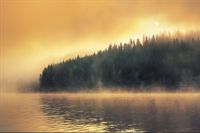 Fototapeta Las we Mgle Jezioro PEJZAŻ do Salonu 405x270