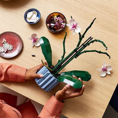 LEGO Creator Expert Orchidea 10311 na Arena.pl