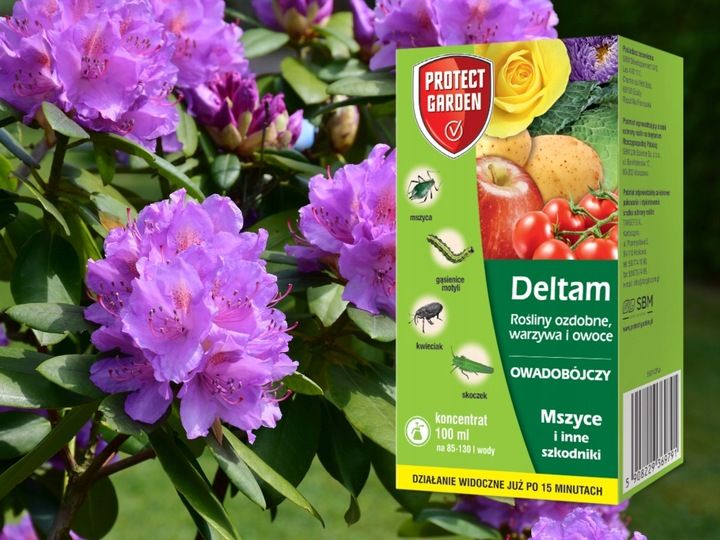 DELTAM ŚRODEK OWADOBÓJCZY MSZYCA KWIECIAK SKOCZEK GĄSIENICE MOTYLI 100ML zdjęcie 11