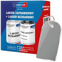 lakier zaprawka + bezbarwny samochodowy zaprawkowy ford moondust silver