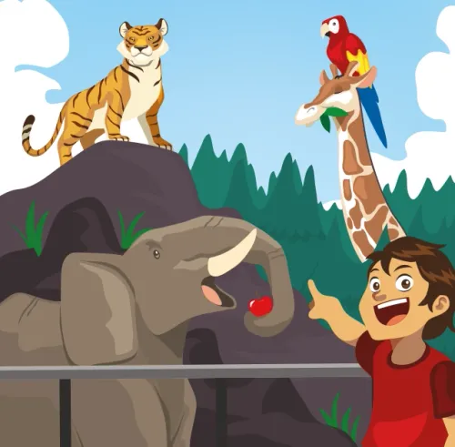 Gra edukacyjna dla dzieci - BrainBox Obrazki - nauka od najmłodszych lat na Arena.pl