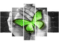 OBRAZ GREEN BUTTERFLY MOTYL DŁOŃ CEGŁA