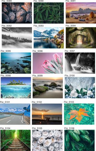 Fototapeta RAJSKI MOST DREWNIANY OCEAN 390x280 na Arena.pl